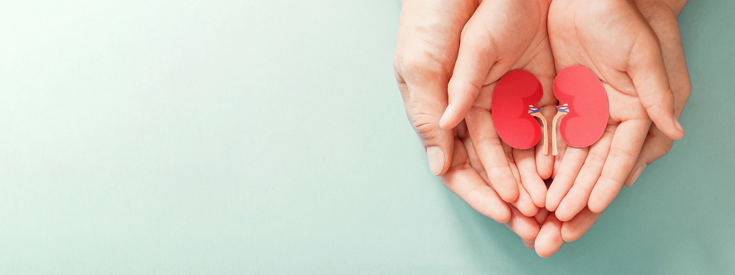 Chronic Kidney Disease