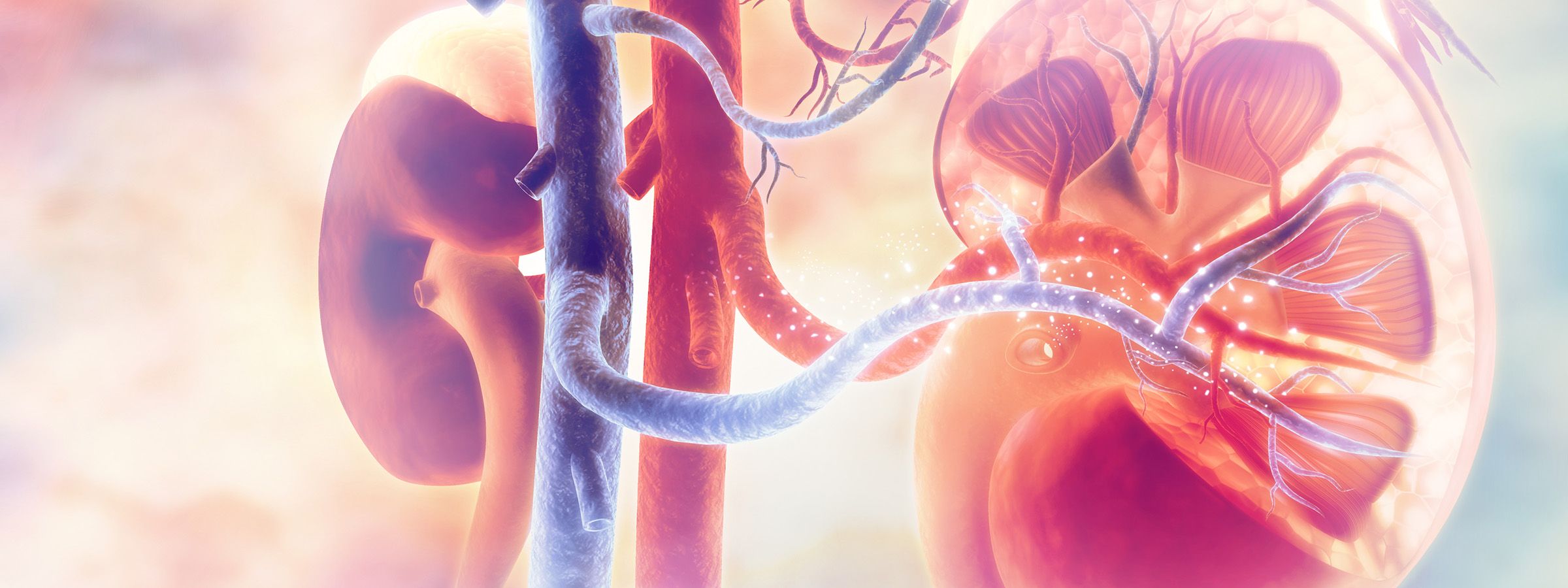 Dialysis expertise