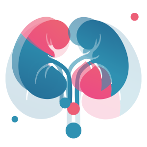 Kidney