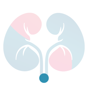 Kidney